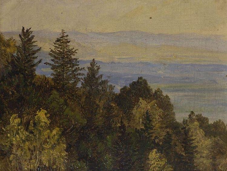 Carl Gustav Carus Blick uber einen bewaldeten Abhang in weite Gebirgslandschaft